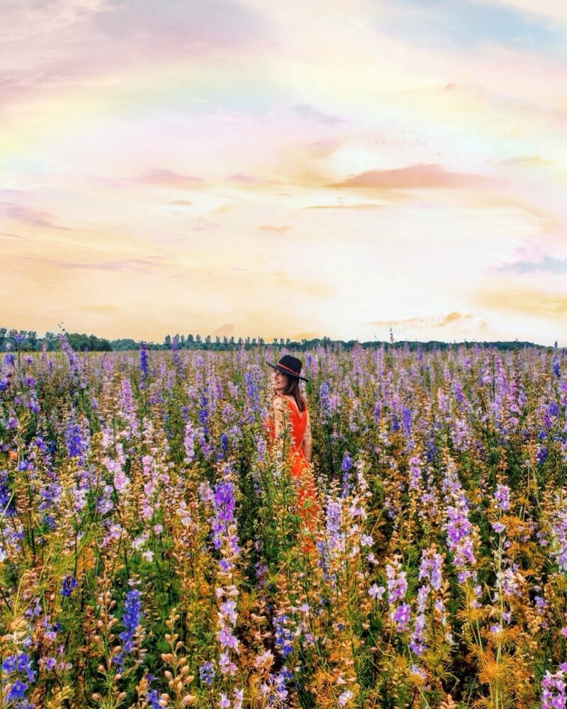 Beautiful Cotswold flowers for every occasion Blue and Boheme Florist